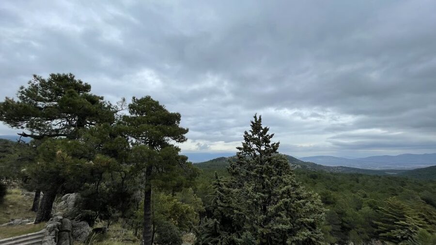 From Madrid: Escorial Monastery and the Valley of the Fallen - What makes the guides so central to this tour