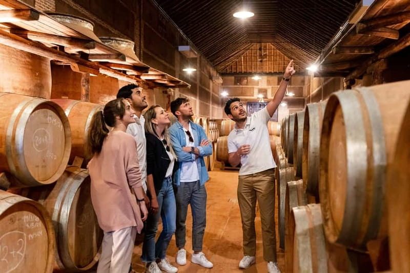 From Madrid: Toledo Guided Tour & Winery Visit with Tasting - Key points worth knowing before you go