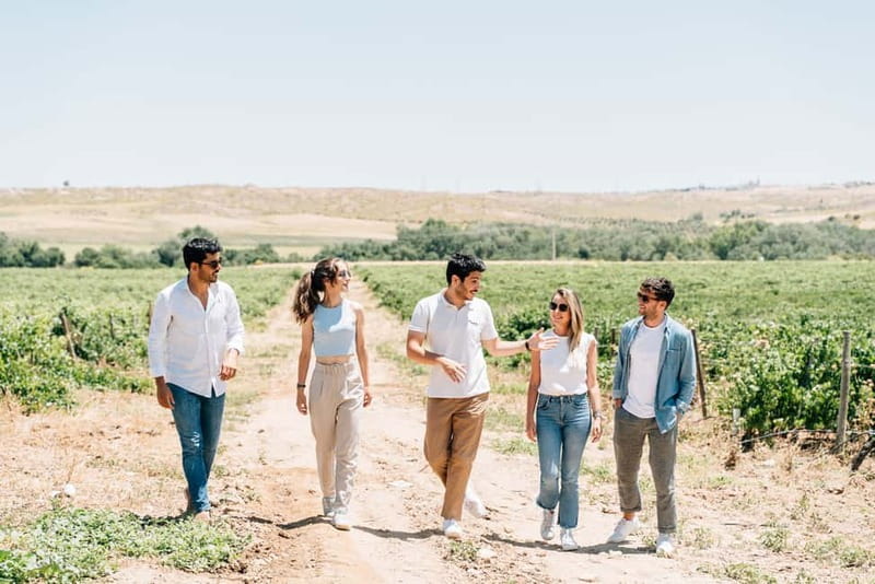 From Madrid: Toledo Guided Tour & Winery Visit with Tasting - Timing and return to Madrid: plan for a full day, not an early night