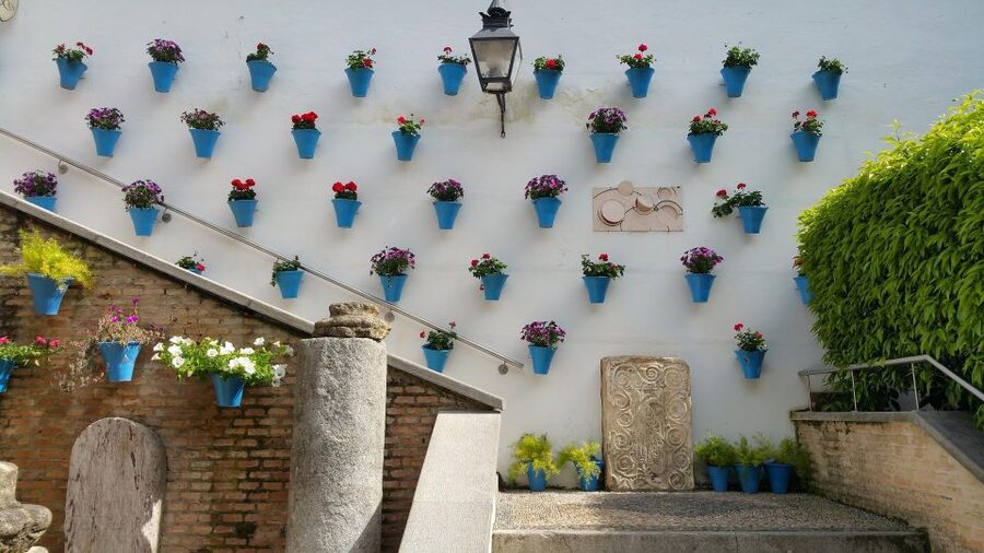 From Malaga and Costa Del Sol: Cordoba Day Trip - Patios plus food: flamenquines and salmorejo, built into free time