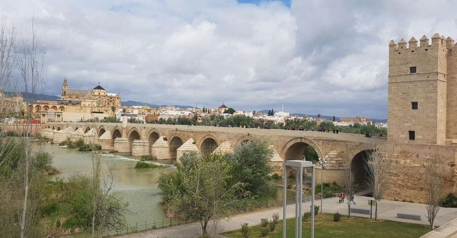 From Malaga and Costa Del Sol: Cordoba Day Trip - On the coach: orientation from Malaga and the Costa del Sol