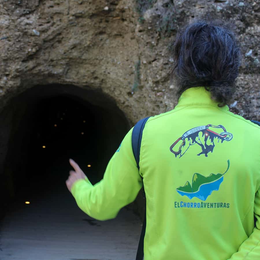 From Malaga: Caminito del Rey all included - Key highlights that matter on this Caminito day