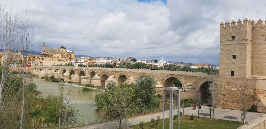 From Malaga: Cordoba Day Trip and Mosque-Cathedral - Who this day trip suits best