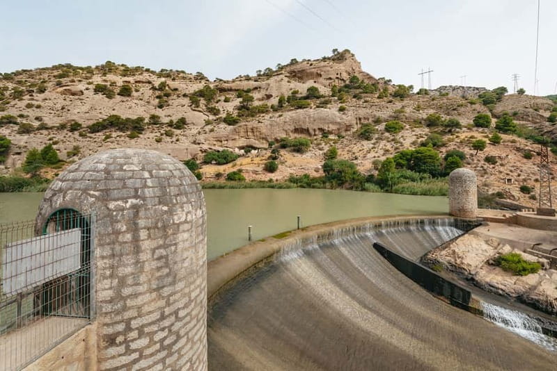 From Málaga & Costa del Sol: Caminito del Rey Guided Tour - Flora, fauna, and what to watch for besides the view