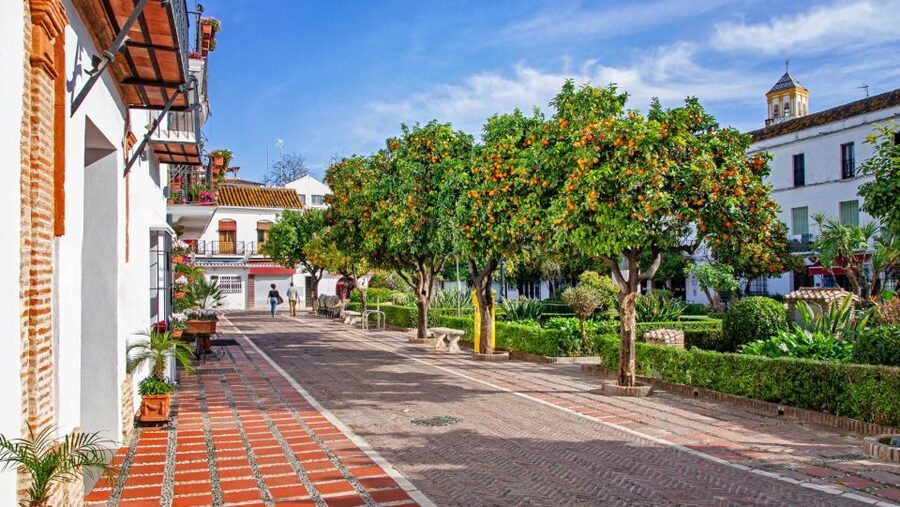 From Malaga or Costa del Sol: Mijas, Marbella & Puerto Banus - Price and value: what $45 actually buys you