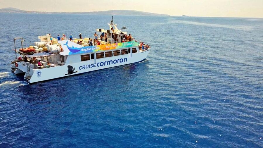 From Paguera: Dolphin Watching Cruise in a Glass-Bottom Boat - Key things you should know before booking
