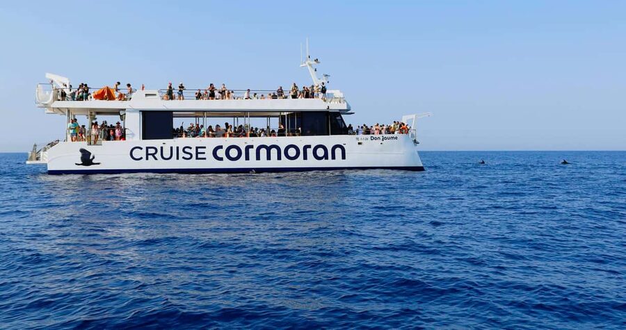 From Paguera: Dolphin Watching Cruise in a Glass-Bottom Boat - Languages and the guide style that makes spotting easier