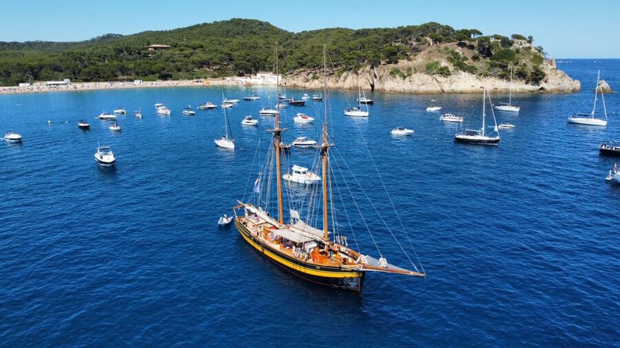 From Palamos: Scenic Boat Trip to Calella de Palafrugell - The Coastline You Sail Past, Coves Named and Worth Your Attention