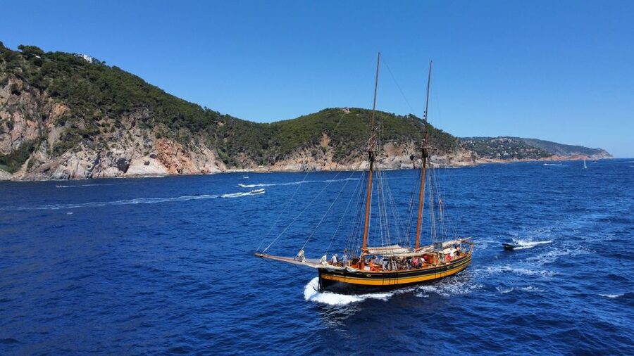 From Palamos: Scenic Boat Trip to Calella de Palafrugell - Calella de Palafrugell Swim Stop: The Part You’ll Remember