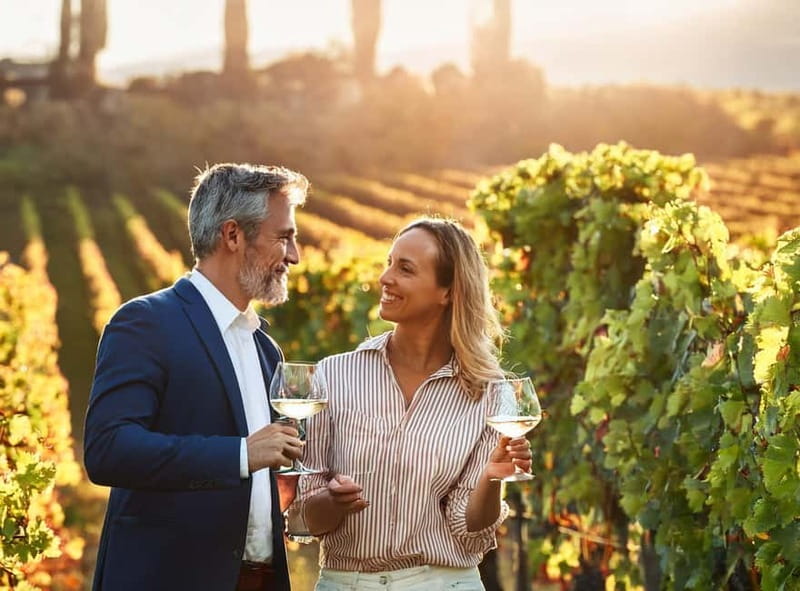 From Palma de Mallorca: Private Wine and Local Flavors Tour - Key highlights worth showing up for
