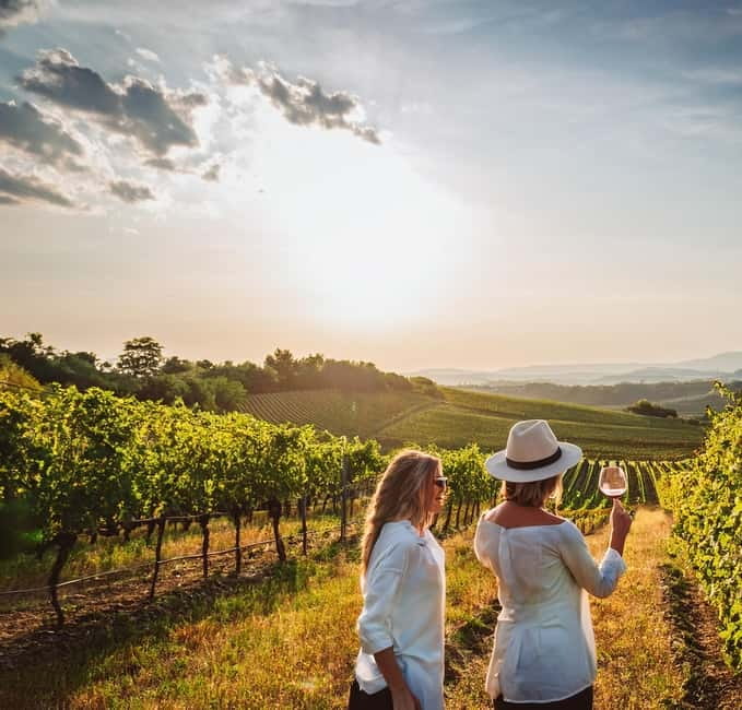 From Palma de Mallorca: Private Wine and Local Flavors Tour - Getting to the winery from Palma, without guessing