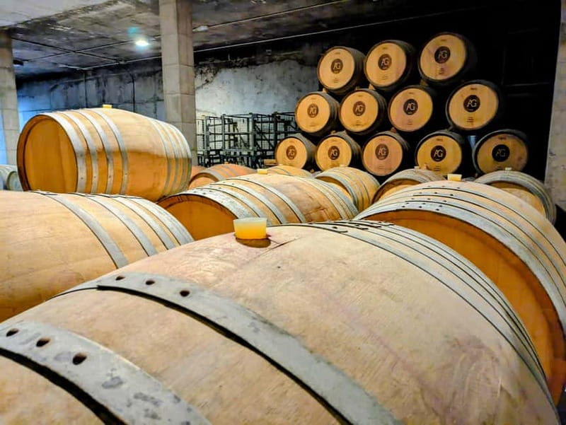 From Palma de Mallorca: Private Wine and Local Flavors Tour - The tasting lineup: four wines plus olive oil crackers and homemade jams