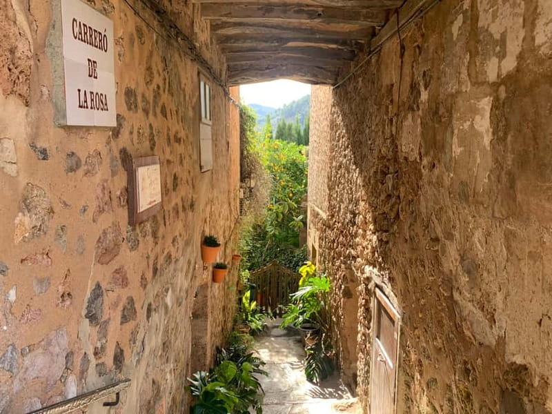 From Palma: Valldemossa Tour and Mountain Viewpoint Hike - Should you book this Palma to Valldemossa tour?