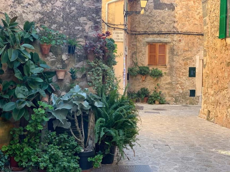 From Palma: Valldemossa Tour and Mountain Viewpoint Hike - Four viewpoints: how to enjoy all of them without rushing