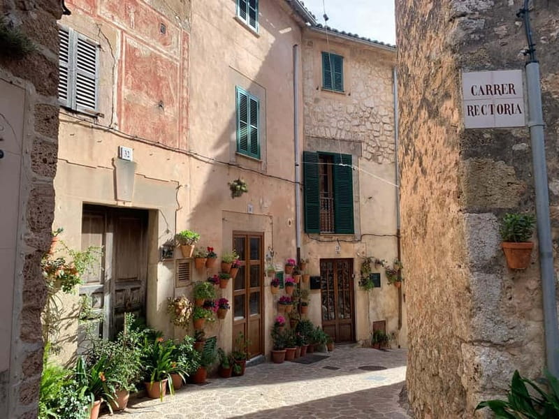 From Palma: Valldemossa Tour and Mountain Viewpoint Hike - Valldemossa town time: cobblestones, history cues, and the flower-pot details