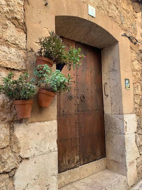 From Palma: Valldemossa Tour and Mountain Viewpoint Hike - Price and value: what you are really paying for at $105