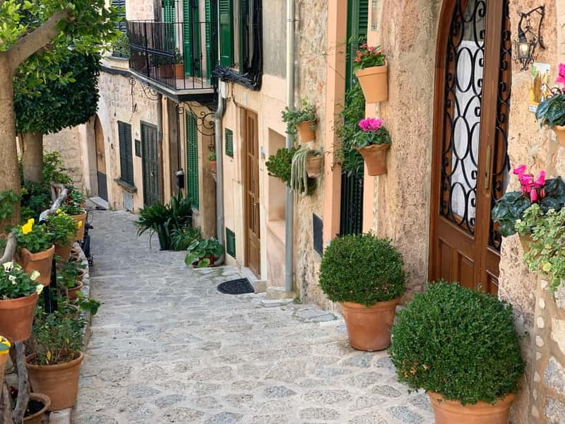 From Palma: Valldemossa Tour and Mountain Viewpoint Hike - Who should book this Valldemossa hike, and who might pass