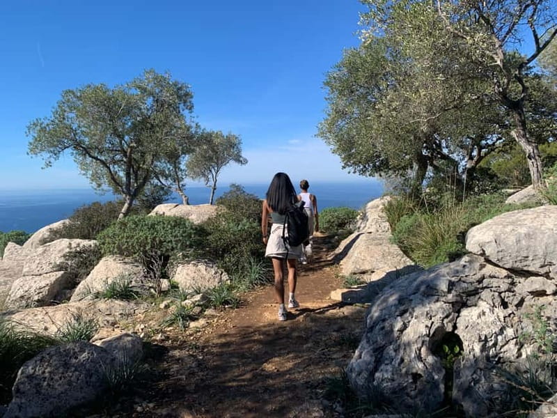 From Palma: Valldemossa Tour and Mountain Viewpoint Hike - The hike itself: easy walking, big scenery, and a smart pace