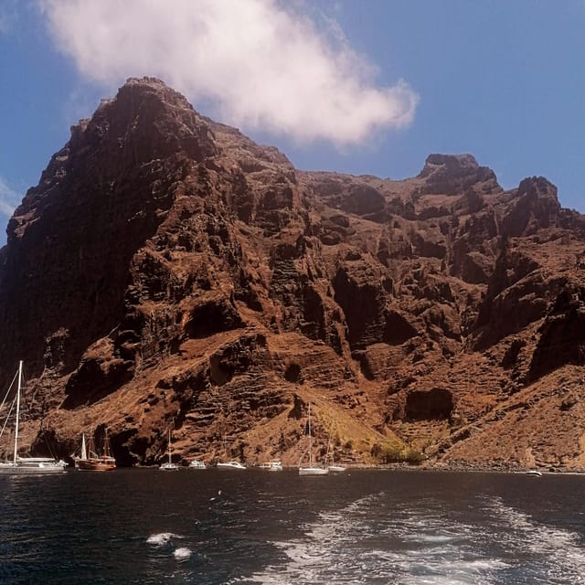 From Playa San Juan: Whale Watching, Gigantes, and Masca Bay - What the Captain and Guide Teach You on the Way Back