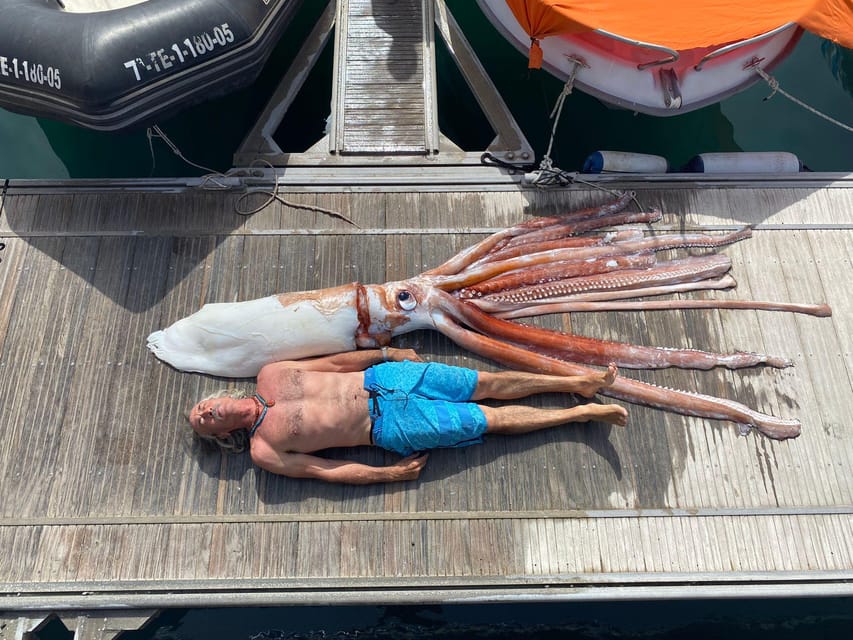 From Playa San Juan: Whale Watching, Gigantes, and Masca Bay - Price and Value at About $94 Per Person