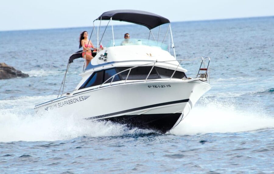 From Playa San Juan: Whale Watching, Gigantes, and Masca Bay - Boat Comfort, Safety, and the Small Details That Make a Difference