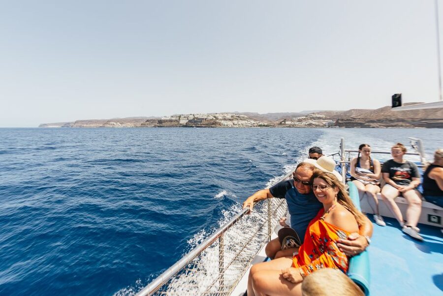 From Puerto Rico de Gran Canaria: Dolphin Watching Cruise - Species spotting with a guide: what you can realistically see