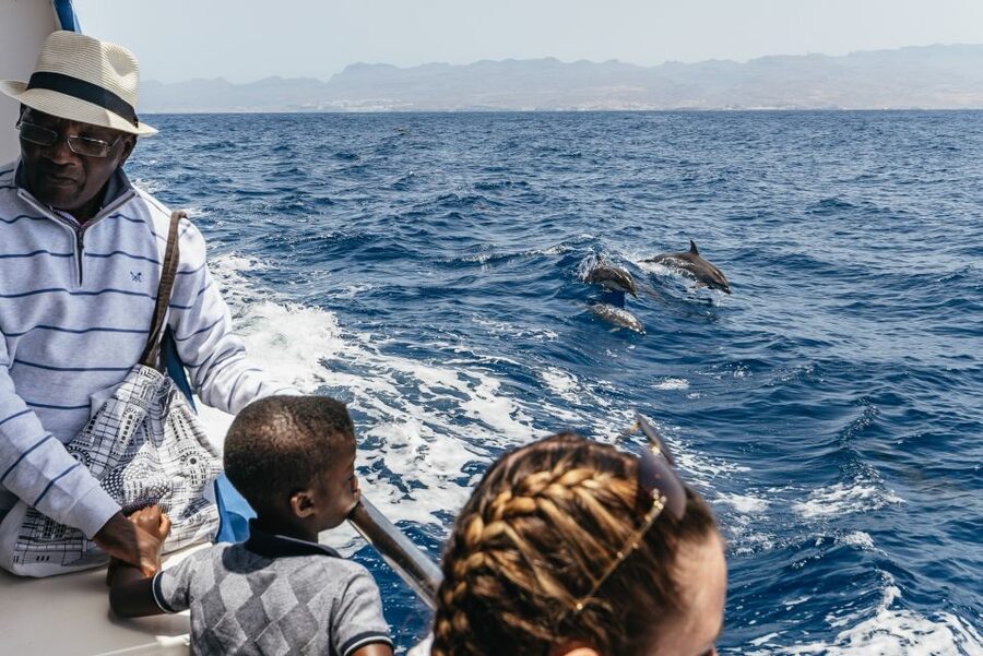 From Puerto Rico de Gran Canaria: Dolphin Watching Cruise - Value check: is $47 worth it in Gran Canaria?