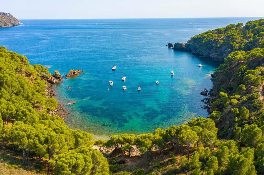 From Roses: Cap Norfeu Boat Cruise & Swimming - FAQ