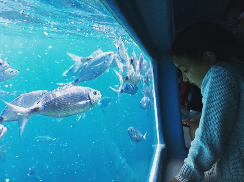 From Roses: Cap Norfeu Boat Cruise & Swimming - Aquarium II underwater viewing rooms: how the seabed part works