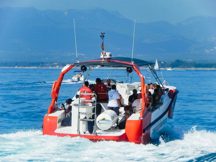 From Salou/Cambrils: Speedboat Tour - Quick Takes