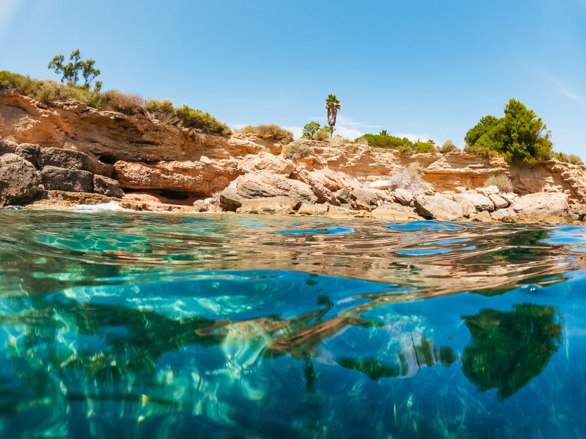 From Salou/Cambrils: Speedboat Tour - Who Should Book, and Who Should Skip It