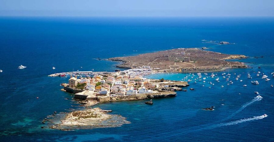 From Santa Pola: Snorkel Trip in Tabarca Island - The monitor’s underwater route: coves, beaches, and ports