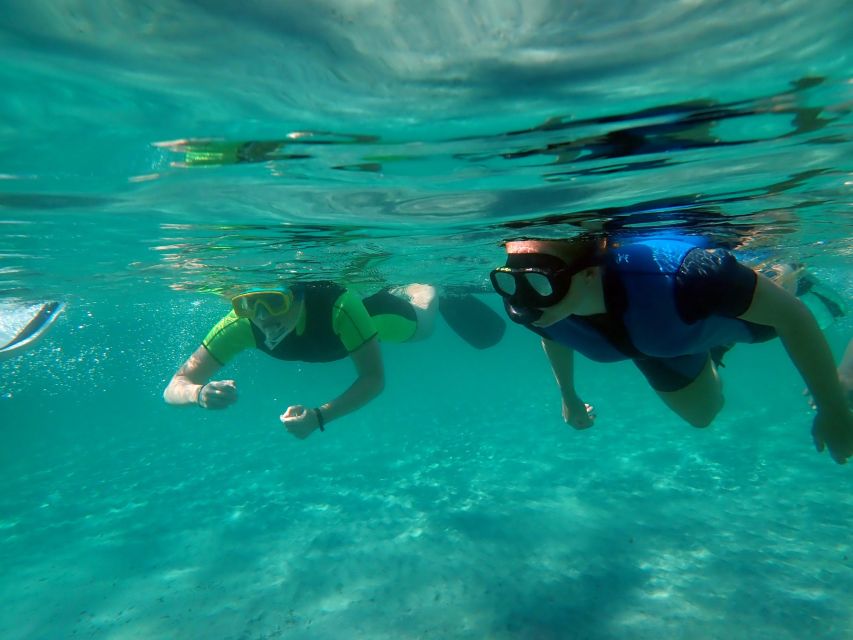 From Santa Pola: Snorkel Trip in Tabarca Island - The 3-hour rhythm: what you do from start to finish