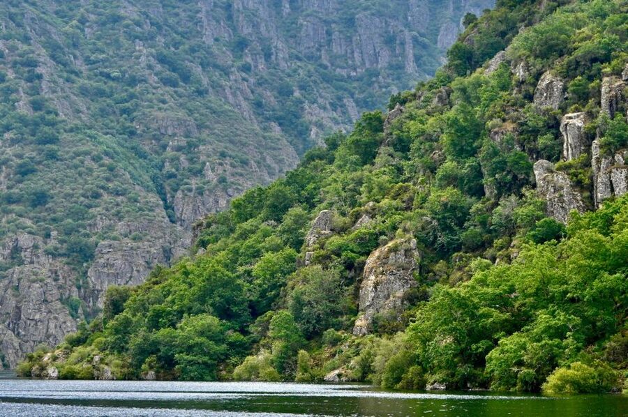 From Santiago: Excursion to Ribeira Sacra and Ourense - Ribeira Sacra, Santiago to the Miño and Sil Riverbanks in one day