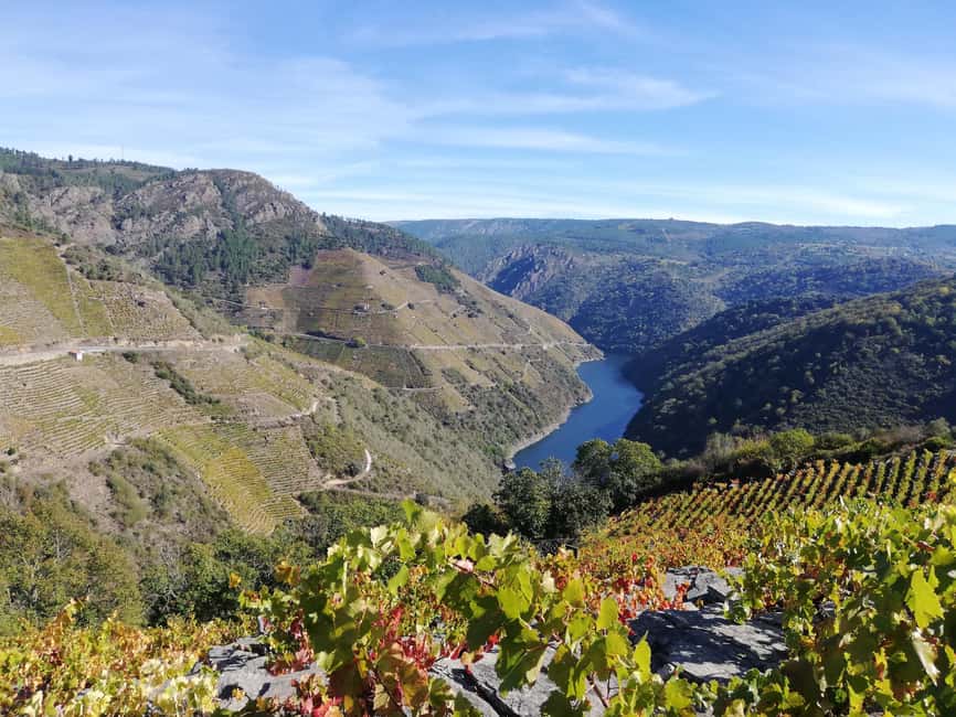 From Santiago: Excursion to Ribeira Sacra and Ourense - Language, group experience, and what to watch for on the boat