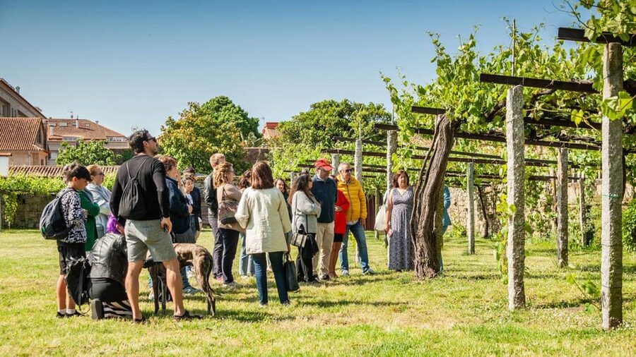 From Santiago: Tour to Rias Baixas with Boat Trip and Winery - The bus ride from Santiago: comfortable, scheduled, and not too long in motion