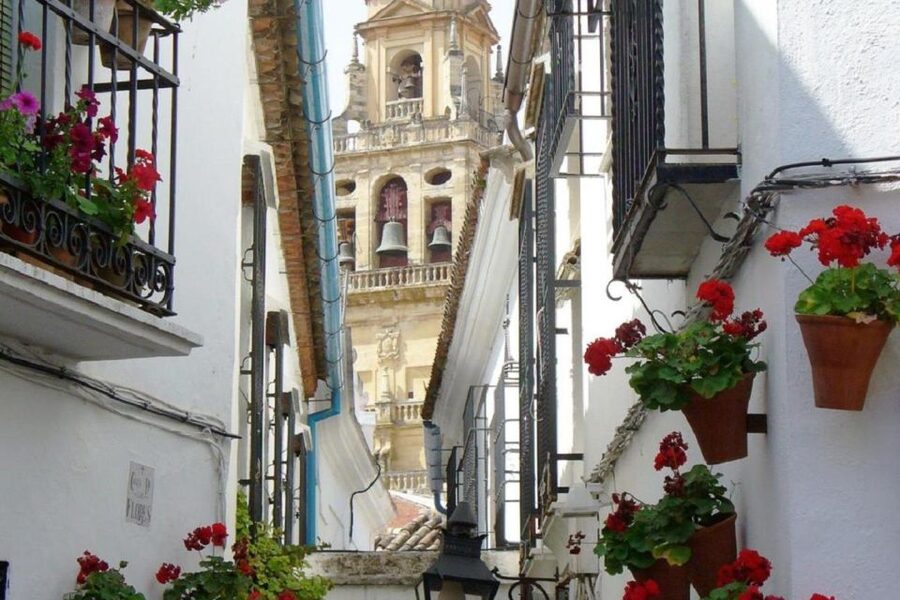 From Seville: Córdoba and Mosque Cathedral Full-Day Tour - Price and value: what $117 buys you here