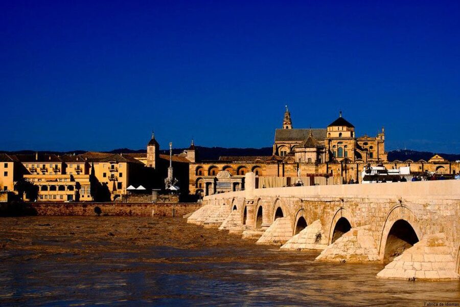 From Seville: Cordoba and Mosque Cathedral Guided Tour - Should you book the Seville to Córdoba Mosque and Synagogue tour?