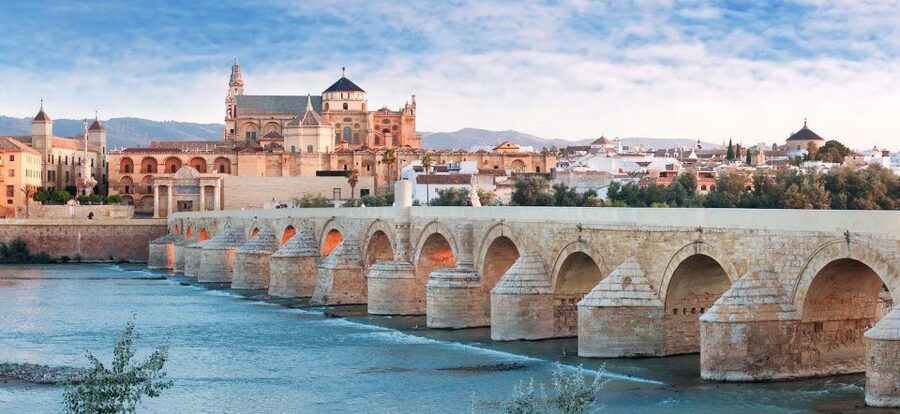 From Seville: Cordoba and Mosque Cathedral Guided Tour - Who should book this tour, and who might want a different plan