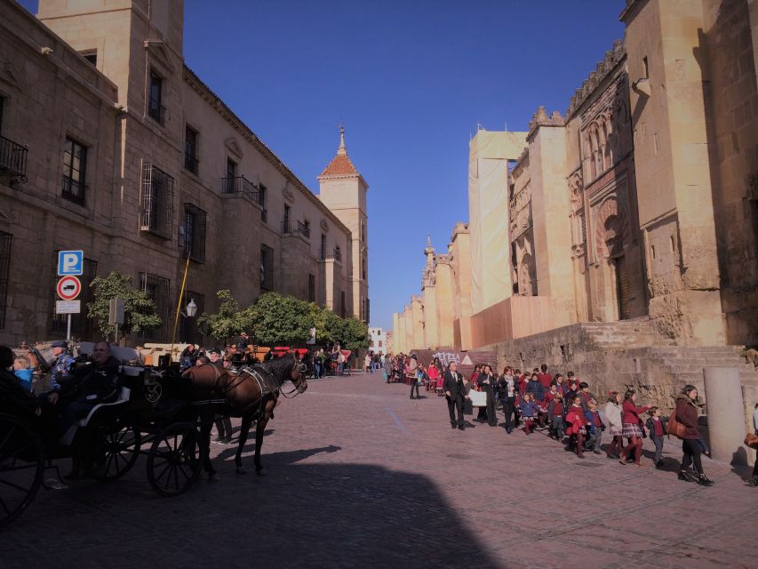 From Seville: Cordoba, the Mosque and Carmona Day Trip - Who should book this tour from Seville, and who should pass