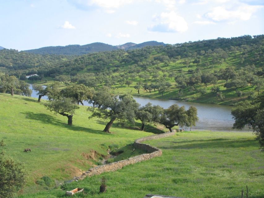 From Seville: Full-Day Aracena & Rio Tinto Mines Tour - Aracena’s Hill-Town Rhythm, Plus Lunch and Castle Views