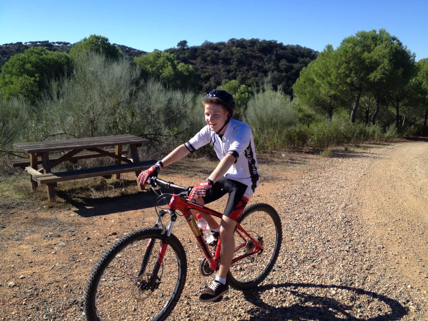 From Seville: Half-Day Guided Bike Trip to Italica - Should you book this bike trip to Itálica?
