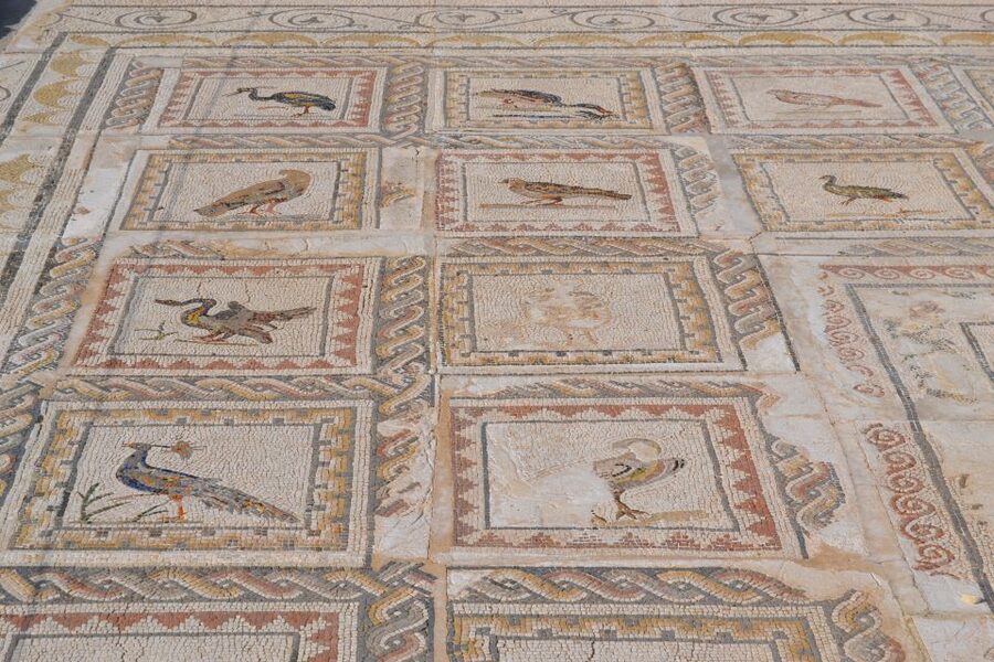 From Seville: Italica Roman City Tour - Roman baths, statues, and the everyday side of the empire