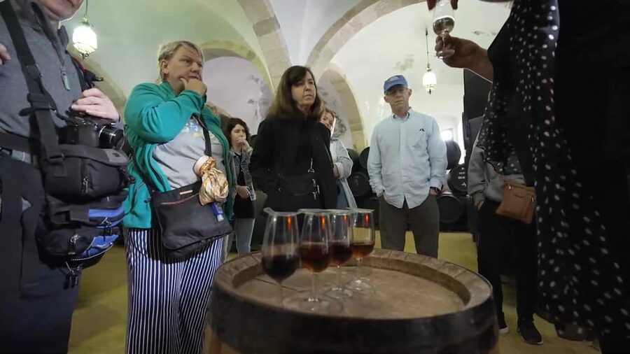 From Seville: Jerez, Cádiz and Andalusian Horses - Key highlights worth planning around