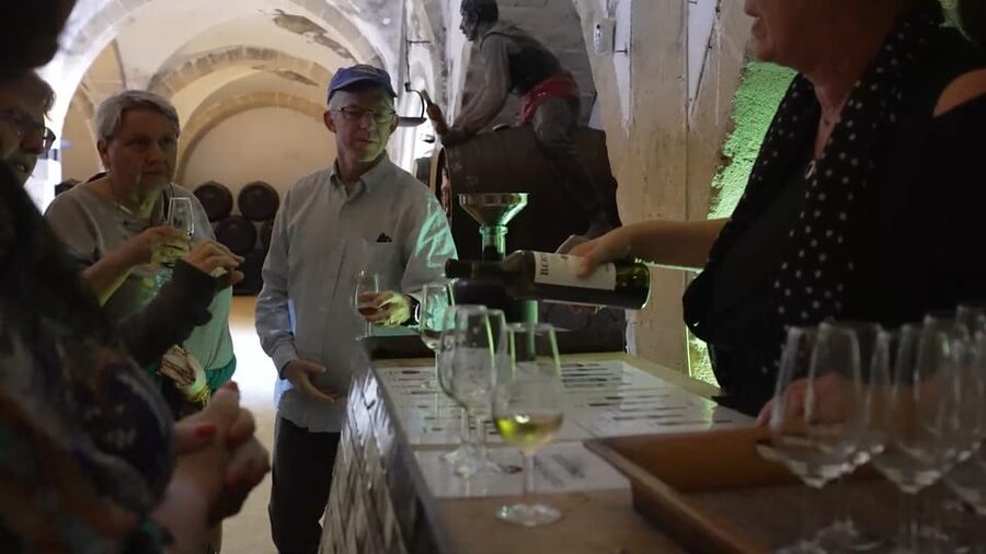 From Seville: Jerez, Cádiz and Andalusian Horses - Jerez sherry bodega visit: what you’ll actually see and taste