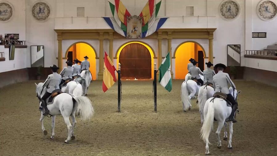 From Seville: Jerez, Cádiz and Andalusian Horses - Price and logistics: whether $140 is good value