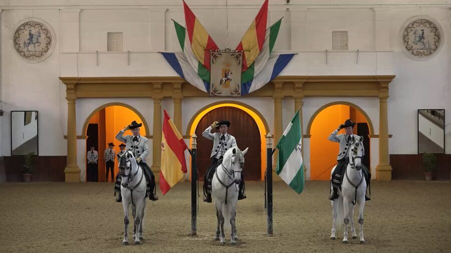 From Seville: Jerez, Cádiz and Andalusian Horses - Practical tips so the day runs smoothly