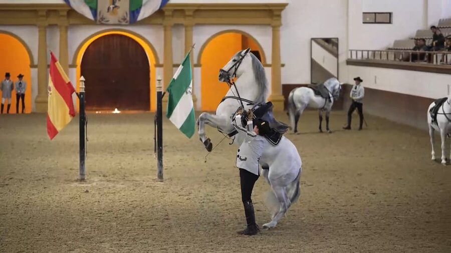 From Seville: Jerez, Cádiz and Andalusian Horses - The 10-hour schedule, and how it feels on the ground
