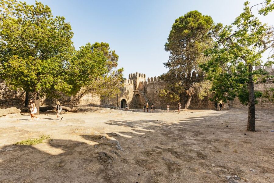 From Seville: Pueblos Blancos and Ronda Full-Day Trip - A Full Day That Turns Seville Into Mountain Andalusia