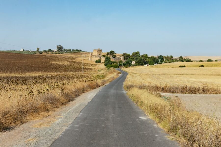 From Seville: Pueblos Blancos and Ronda Full-Day Trip - Molino El Vínculo: Olive Oil Processing You Can Actually Understand